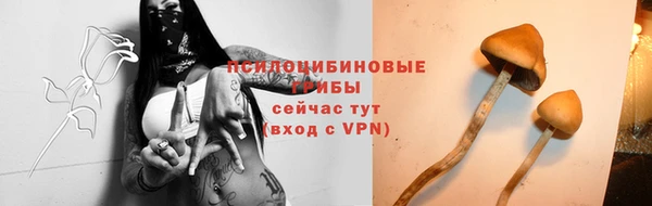 гашик Богданович