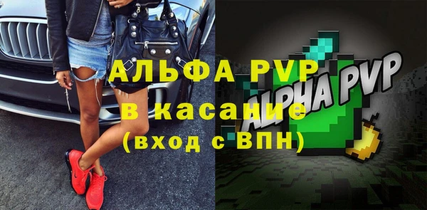 гашик Богданович