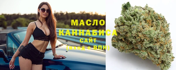 гашик Богданович