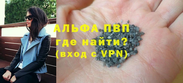 гашик Богданович