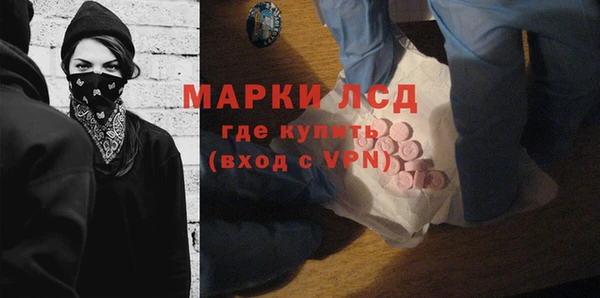 гашик Богданович