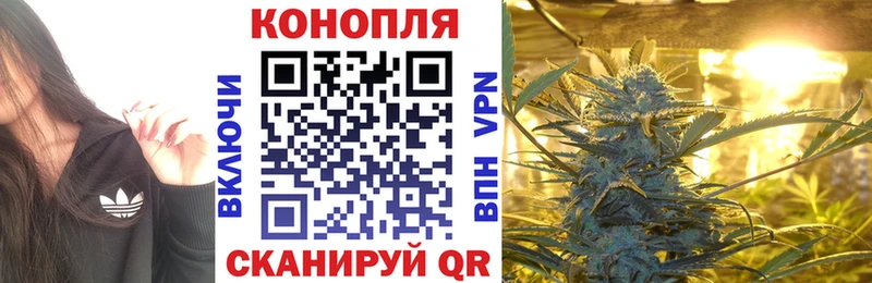 Купить где  Стрежевой  Марихуана сатива 